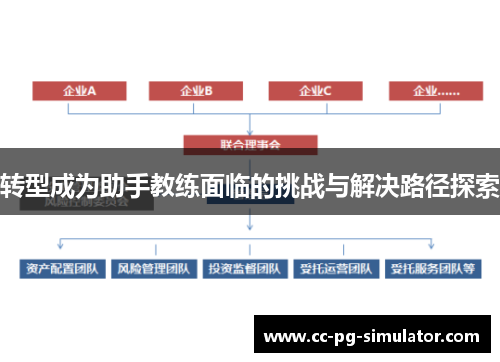 转型成为助手教练面临的挑战与解决路径探索