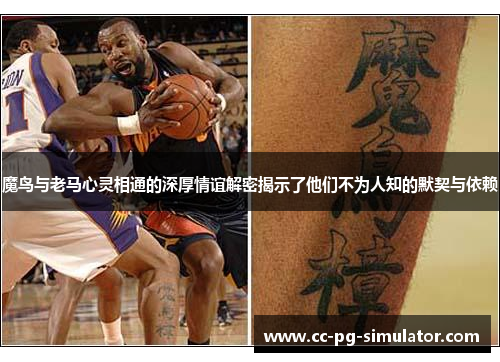 魔鸟与老马心灵相通的深厚情谊解密揭示了他们不为人知的默契与依赖